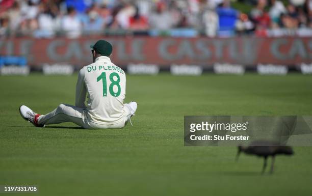 Hadada bird pecks away on the outfield as Faf du Plessis looks on during Day One of the Second Test between England and South Africa on January 03,...