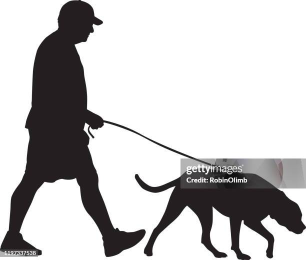 ilustraciones, imágenes clip art, dibujos animados e iconos de stock de senior man walking dog silhouette - hombres maduros