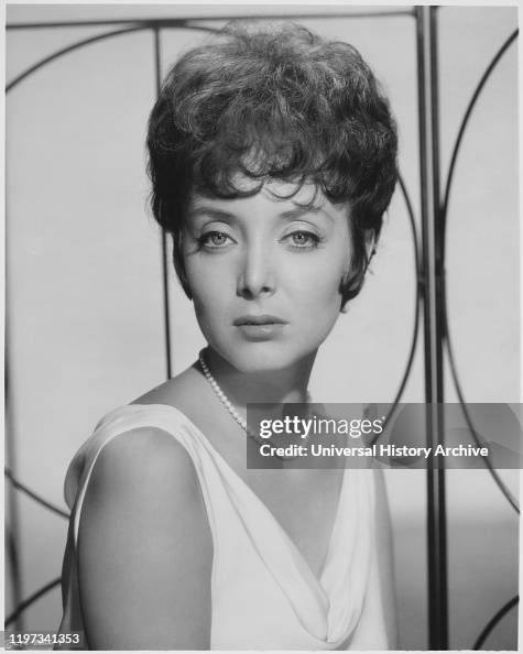 Carolyn Jones, Publicity Portrait for the Film, "Sail a Crooked Ship", Columbia Pictures, 1961 Carolyn Jones, Publicity Portrait for the Film, "Sail a Crooked Ship", Columbia Pictures, 1961