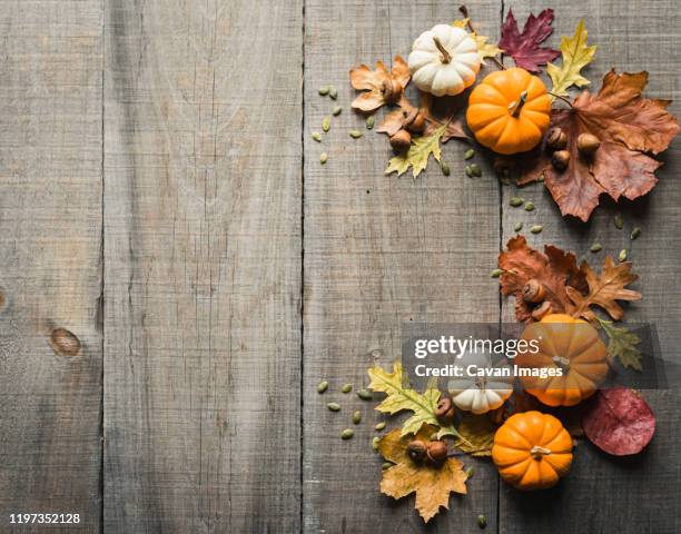 Fall Table Graphics Autumn Decor Table Photos and Premium High Res Pictures - Getty Images