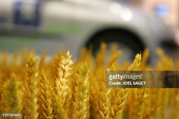 View taken on the stand of "Passion Cereales", a French association for the promotion of cereals at the Paris Motor Show 28 September 2006. The...