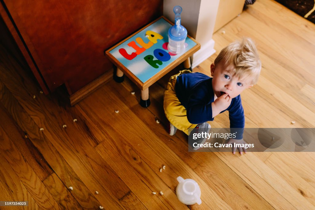 A toddler boy eats cereal off the floor.