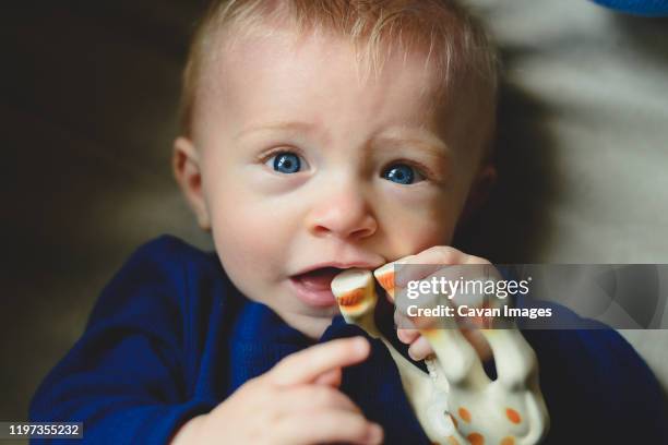 a baby boy chews on a toy. - baby eating toy stock pictures, royalty-free photos & images