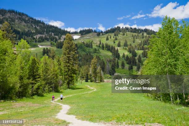 a couple hiking at jackson hole mountain resort in the summer - teton gebirge stock-fotos und bilder