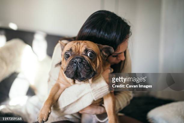 a tattooed woman hugging her cute puppy. happy moment between pe - cuddling animals fotografías e imágenes de stock