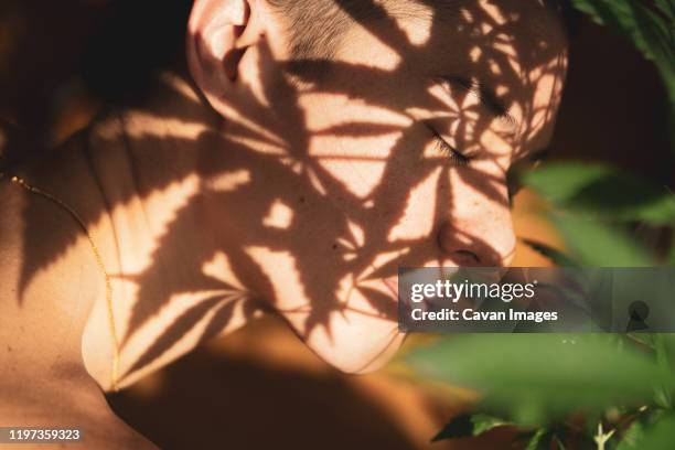 marijuana leaves cast shadow on peaceful face with eyes close - cannabis leaf fotografías e imágenes de stock