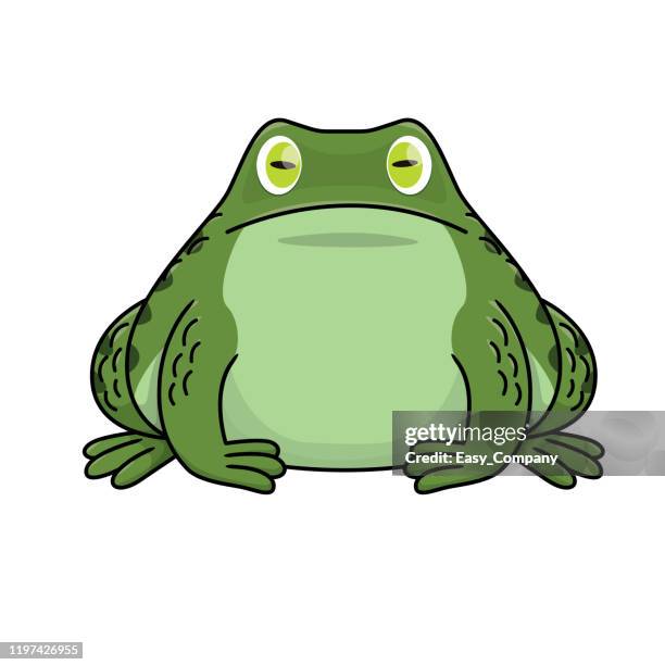 vektor-illustration von stierfrosch isoliert auf weißem hintergrund. - frogs in wetlands stock-grafiken, -clipart, -cartoons und -symbole