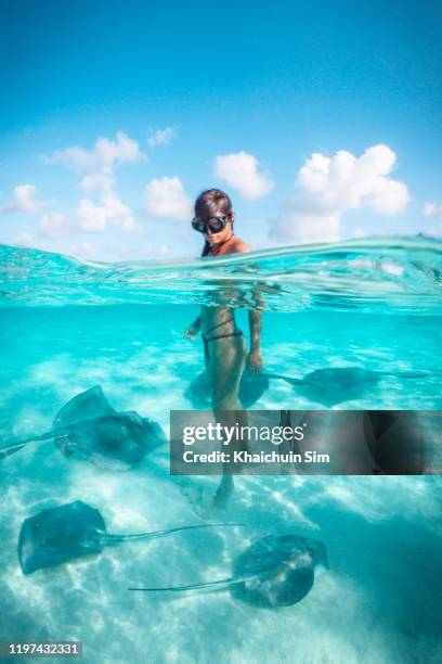 young girl playing with sting rays underwater - snorkel beach stock-fotos und bilder