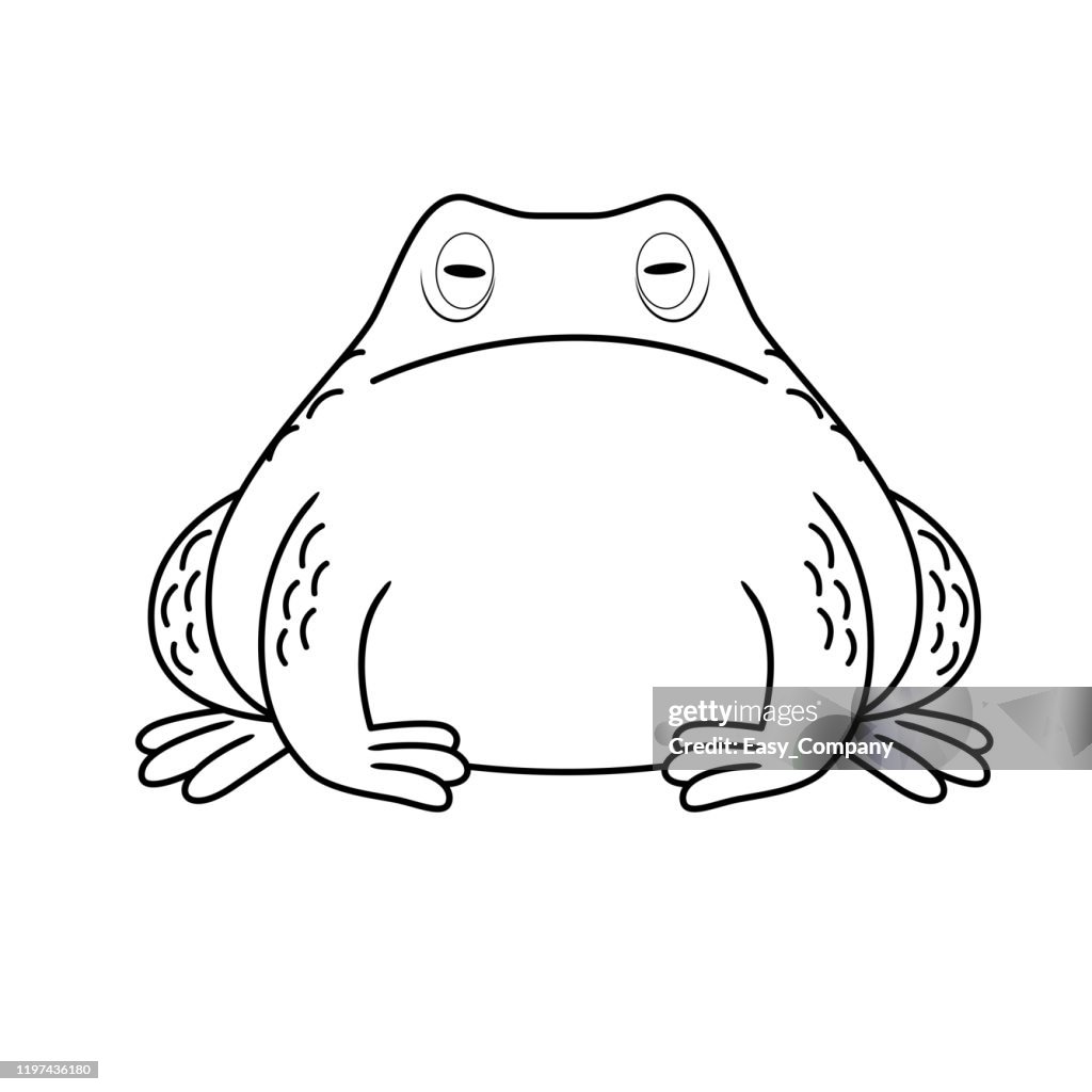 Ilustración vectorial de rana toro aislada sobre fondo blanco. Para niños libro para colorear.