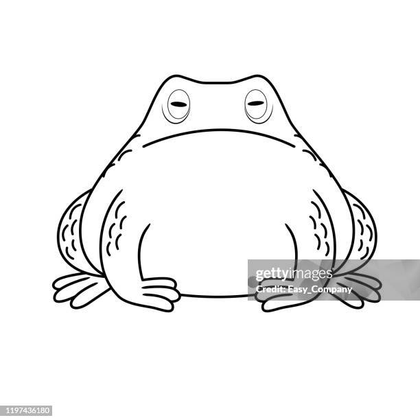 vector illustration of bullfrog isolated on white background. for kids coloring book. - giant frog stock illustrations