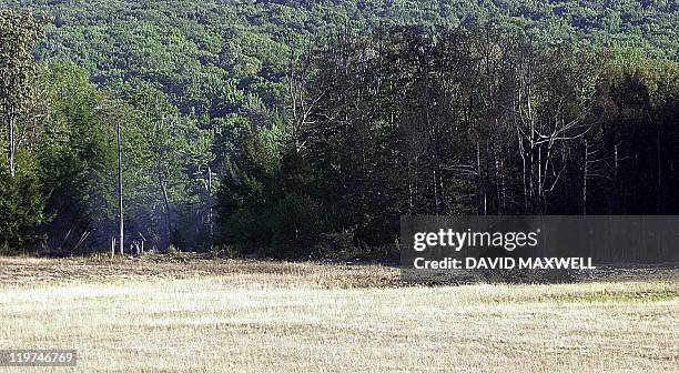 Mound of dirt and charred trees mark the site of a crater created by the impact of United Airlines Flight 93, which crashed 11 September, 2001. The...