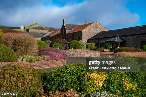 garden at mount melleray abbey, ireland. - county waterford ireland stockfoto's en -beelden