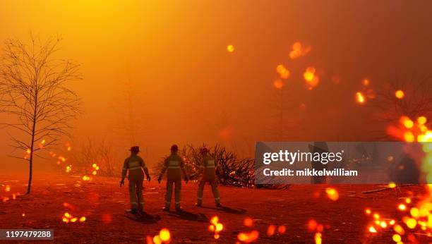 i vigili del fuoco si preparano a lavorare nel mezzo di una foresta in fiamme - firefighters foto e immagini stock