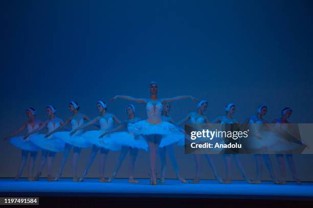 The Ballet dancers are seen during the performance of "Swan Lake of Tchaikovsky" from the Real Ballet of Russia company in Bogota, Colombia on...