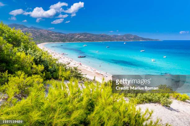 view of famous saleccia beach with white sand, turquoise sea, hills and pine trees, near saint florent, corsica island, france, europe. - corse fotografías e imágenes de stock