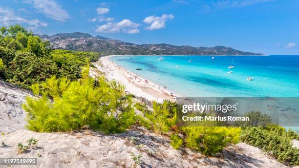 view of famous saleccia beach with white sand, turquoise sea, hills and pine trees, near saint florent, corsica island, france, europe. - corsica beach stock pictures, royalty-free photos & images