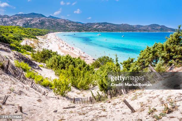 view of famous saleccia beach with white sand, turquoise sea, hills and pine trees, near saint florent, corsica island, france, europe. - corsica stockfoto's en -beelden