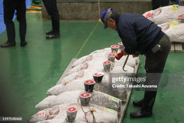 Buyer inspect frozen tuna prior to the year's first auction at Toyosu Market on January 05, 2020 in Tokyo, Japan. Kiyomura Co., which operates the...