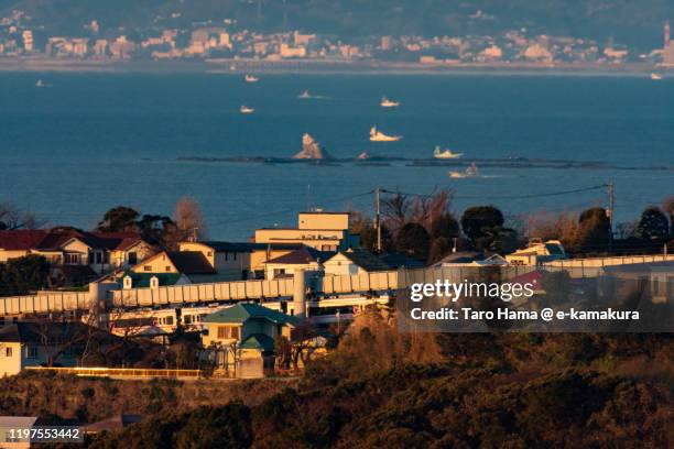 residential district in kanagawa prefecture of japan - shonan monorail stock pictures, royalty-free photos & images