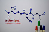 Glutathione. Important in plants and animals molecule write on the white board. Structural chemical formula. Education concept