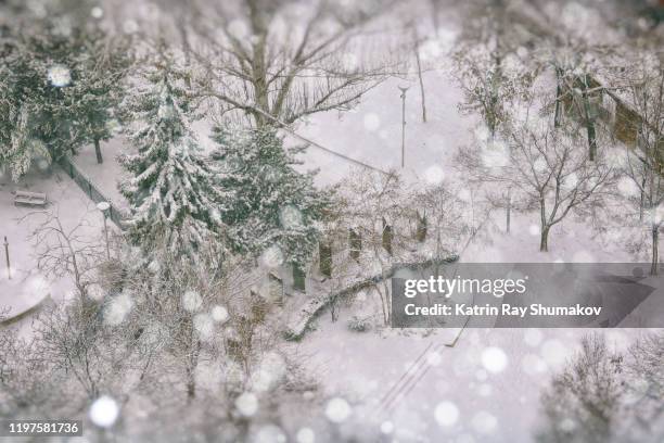 miniature park in magic snow globe - christmas snow globe stock pictures, royalty-free photos & images