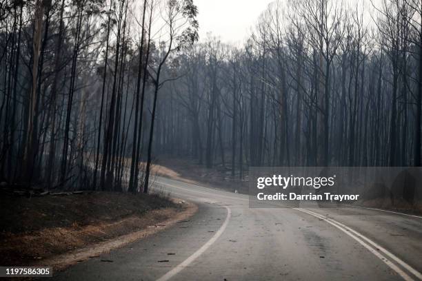 Burnt forest is seen on January 05, 2020 between Orbost and Cann River along the Princes Highway, Australia. Two people are dead and 6 remain...