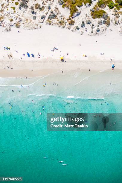 summer at perth beach in western australia - fremantle stock pictures, royalty-free photos & images