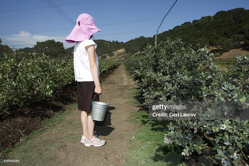 Girl picking blueberries at a farm