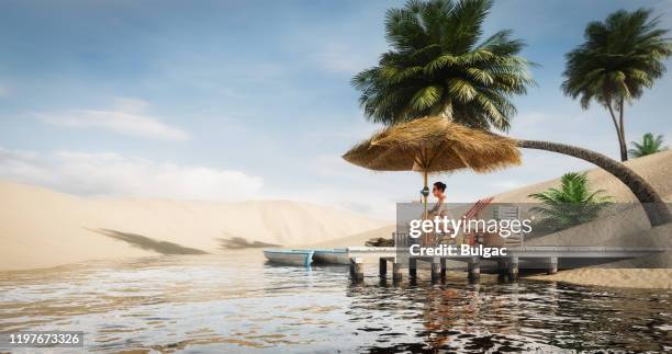 idyllic desert oasis landscape - desert oasis stock pictures, royalty-free photos & images