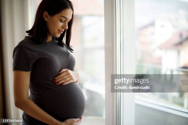 porträt einer jungen glücklichen schwangeren frau, die am fenster steht - woman holding tummy stock-fotos und bilder