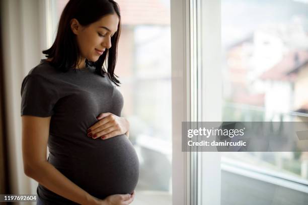 窓のそばに立つ若い幸せな妊婦の肖像画 - human abdomen ストックフォトと画像