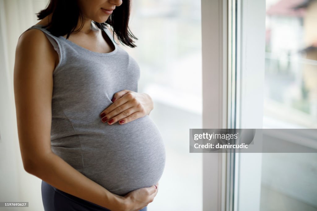 Portrait of young pregnant woman standing by the window