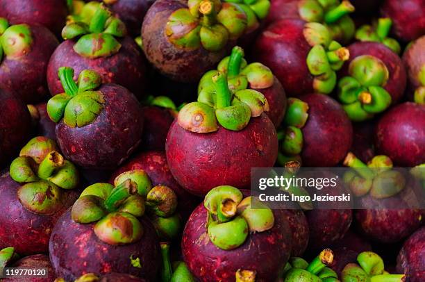 mangosteen fruit in thai market - mangosteen stockfoto's en -beelden