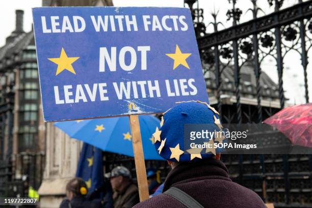 Pro EU supporter holding a placard that reads: Lead with facts not leave with lies, during the demonstration. Remain supporters gathered at the...