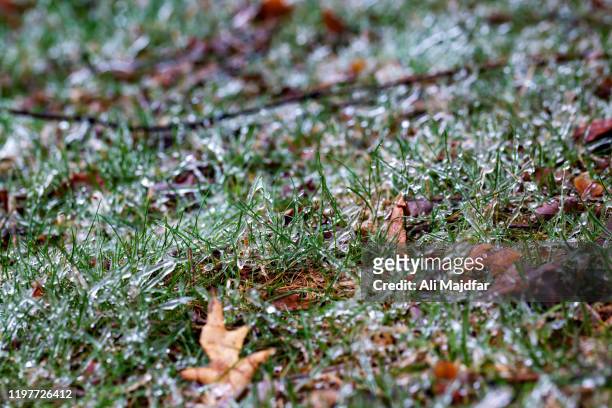 freezing rain on lawn - michigan winter stock pictures, royalty-free photos & images