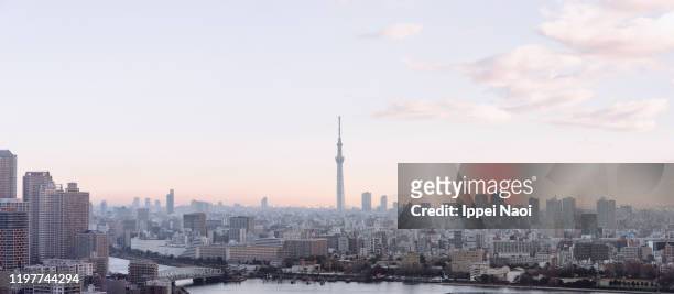 tokyo sky tree with tokyo skyline at sunrise - harumi district tokyo stock pictures, royalty-free photos & images