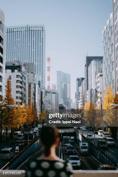 woman looking at tokyo city street with yellow ginkgo trees - ginza stock pictures, royalty-free photos & images