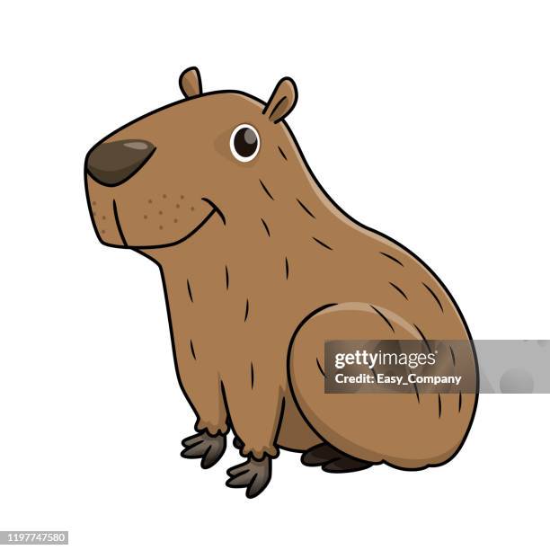 ilustraciones, imágenes clip art, dibujos animados e iconos de stock de ilustración vectorial de capibara aislado sobre fondo blanco. - capybara (hydrochoerus hydrochaeris)