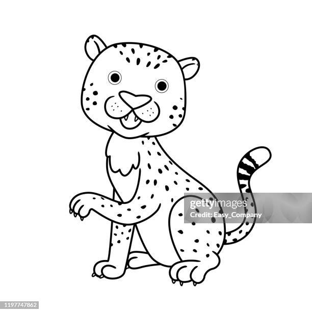 vector illustration of cheetah isolated on white background. - desert safari stock illustrations