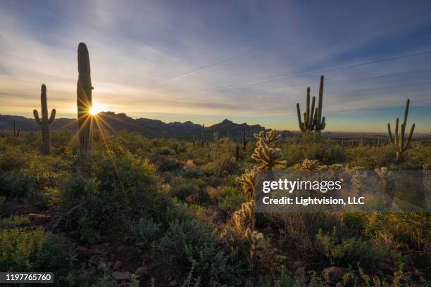 superstition mountains in apache junction, arizona - phoenix arizona desert stock pictures, royalty-free photos & images