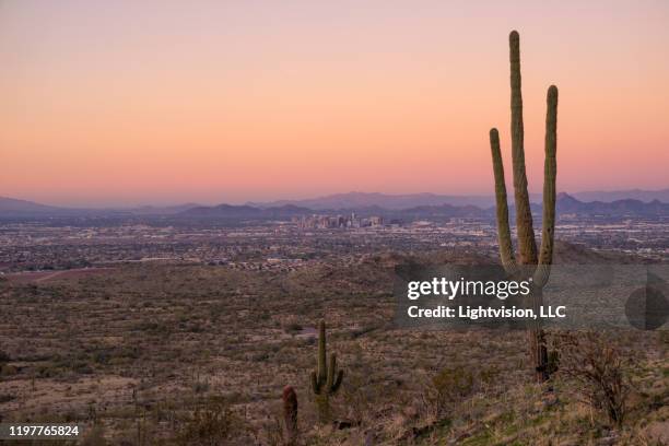 phoenix, arizona downtown skyline - phoenix arizona desert stock pictures, royalty-free photos & images