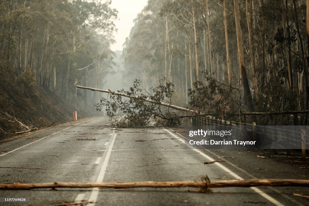 Victoria Remains On High Bushfire Alert Following Devastating East Gippsland Fires