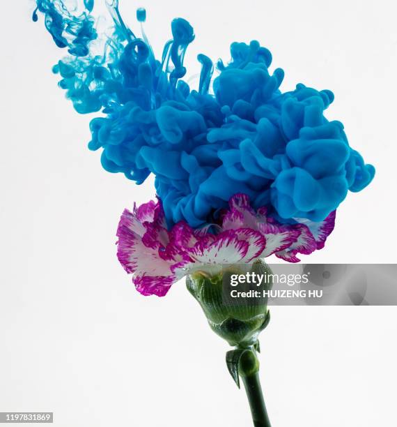 Flowe Ink 6,427 Inky Flower Stock Photos, High-Res Pictures, and Images - Getty ...
