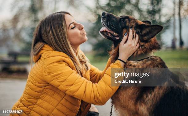 best friends - german shepherd stock pictures, royalty-free photos & images