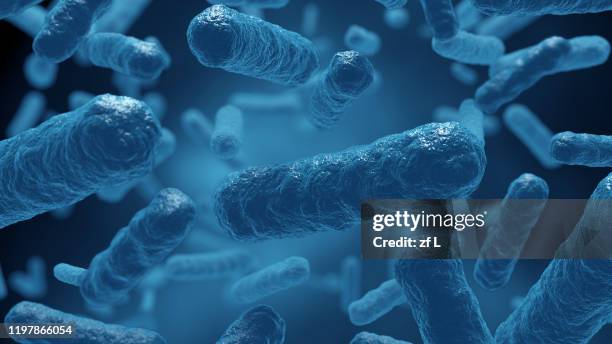 細菌 微生物 細胞 - infection virale stockfoto's en -beelden