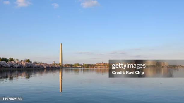 washington monument from tidal basin - washington monument stock pictures, royalty-free photos & images