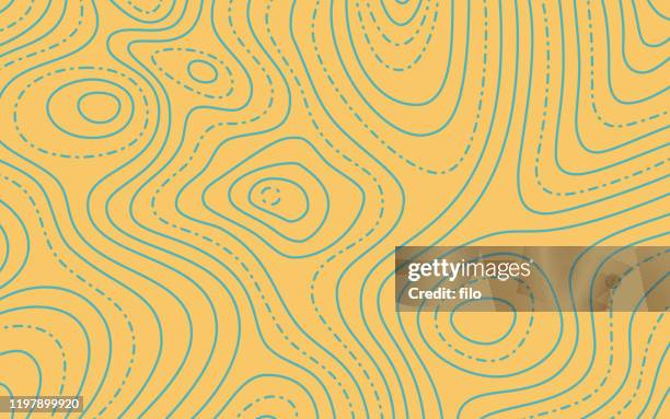 illustrazioni stock, clip art, cartoni animati e icone di tendenza di sfondo mappa topografica - rosa dei venti