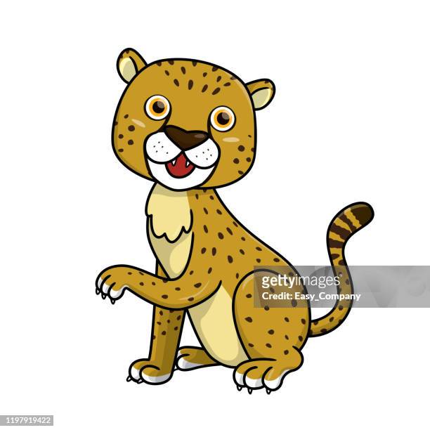 ilustraciones, imágenes clip art, dibujos animados e iconos de stock de ilustración vectorial de guepardo aislado sobre fondo blanco. - piel leopardo