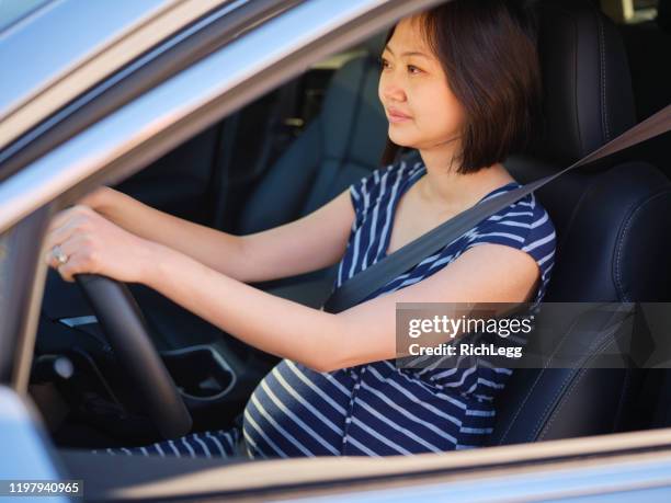 pregnant woman driver - pregnant woman car stock pictures, royalty-free photos & images