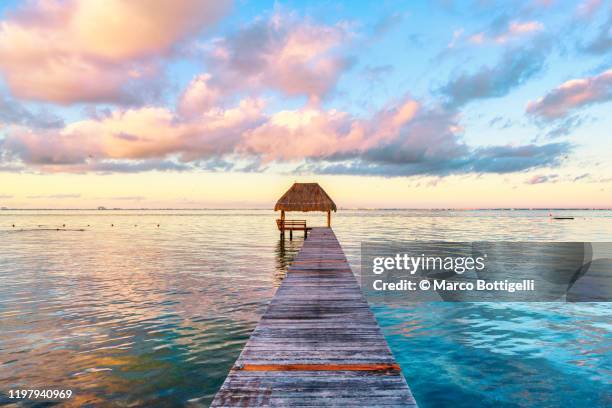 palapa and wooden pier on the carribean sea, mexico - cultura caribeña fotografías e imágenes de stock